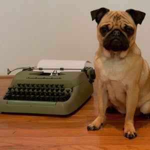 Dear Desdemona: Buzzing in Shame