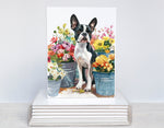 Boston Terrier Flower Market Cards, Boxed Card Set, Cute Dog Cards, Spring Dog, 10 Card Boxed Set, Blank Inside,