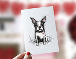 Boston Terrier Heart Love Cards, Boxed Card Set, Cute Dog Cards, 10 Card Boxed Set, Blank Inside