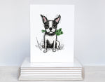 Boston Terrier Shamrock Cards, Boxed Card Set, Cute Dog Cards, 10 Card Boxed Set, Blank Inside