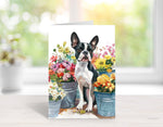 Boston Terrier Flower Market Cards, Boxed Card Set, Cute Dog Cards, Spring Dog, 10 Card Boxed Set, Blank Inside,