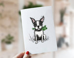 Boston Terrier Shamrock Cards, Boxed Card Set, Cute Dog Cards, 10 Card Boxed Set, Blank Inside