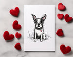 Boston Terrier Heart Love Cards, Boxed Card Set, Cute Dog Cards, 10 Card Boxed Set, Blank Inside