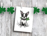 Boston Terrier Shamrock Cards, Boxed Card Set, Cute Dog Cards, 10 Card Boxed Set, Blank Inside