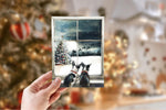 Boston Terriers Christmas Cards, Dog Lover, Dog Mom, Boston Terrier Holiday, Holiday Card Set, Cute Dog Holiday Cards, Pack Of 10