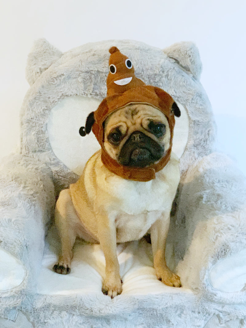Pug wearing a silly hat sitting in a plush chair