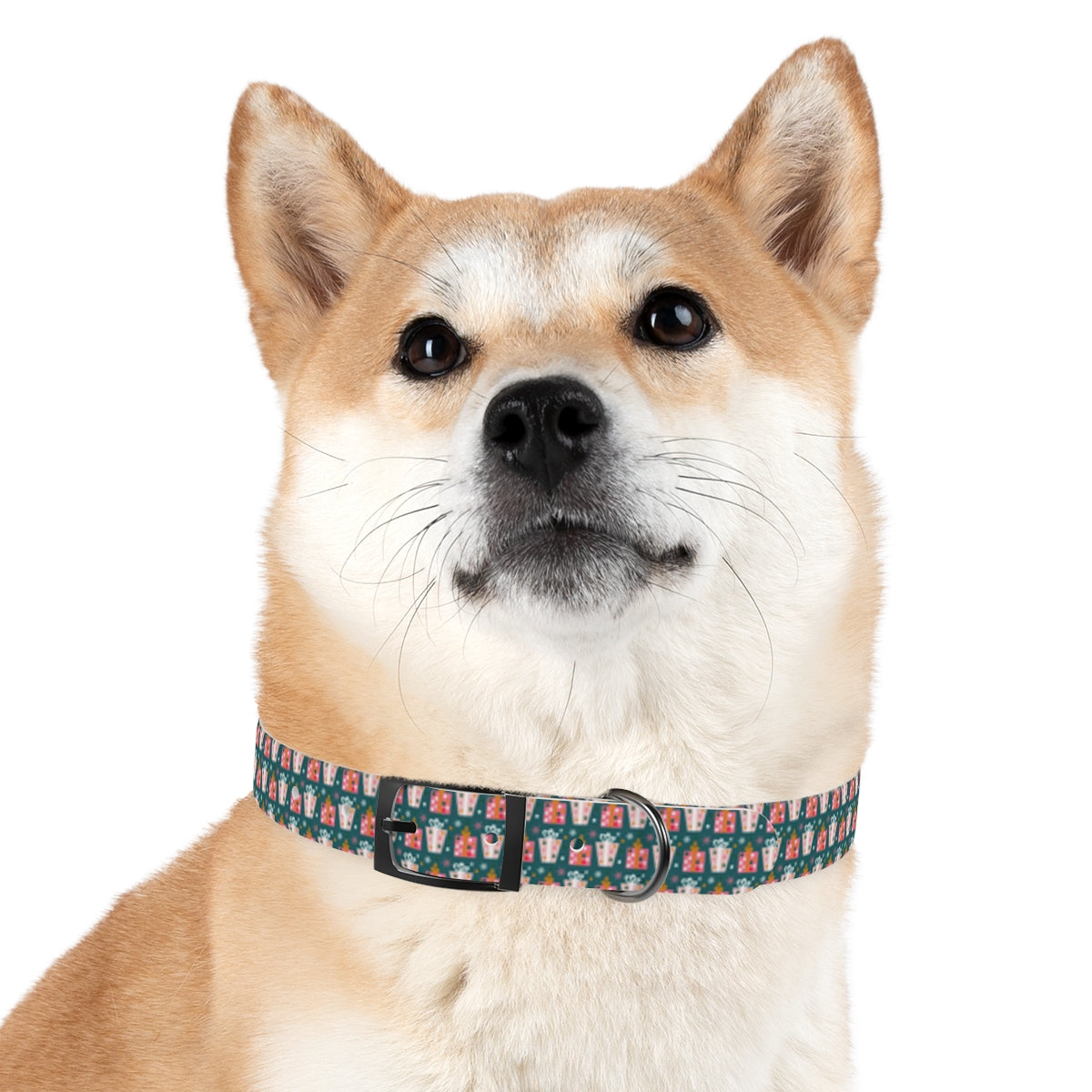 Gifts Galore Personalized Dog Collar