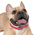 Watermelon Personalized Dog Collar