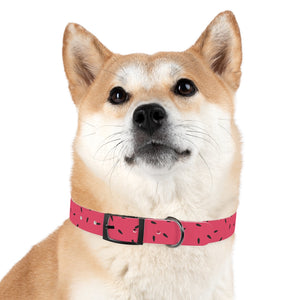 Watermelon Personalized Dog Collar