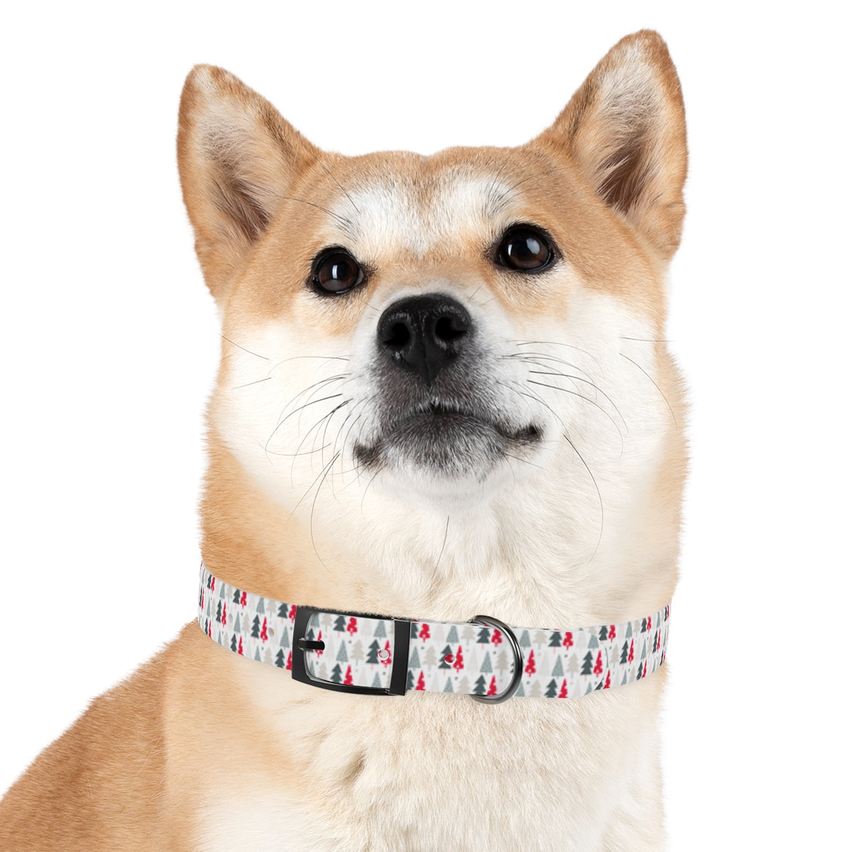 Holiday Trees Personalized Dog Collar