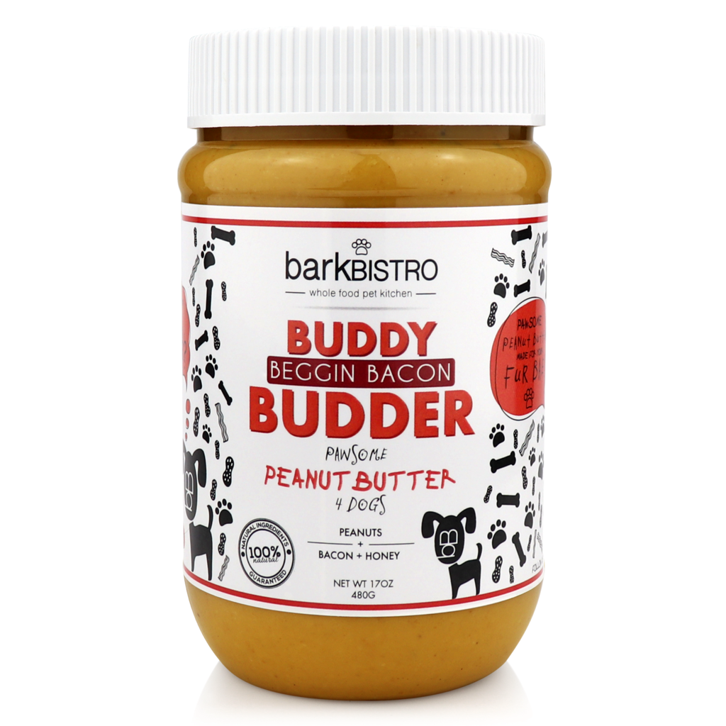 Buddy Budder: Begging Bacon