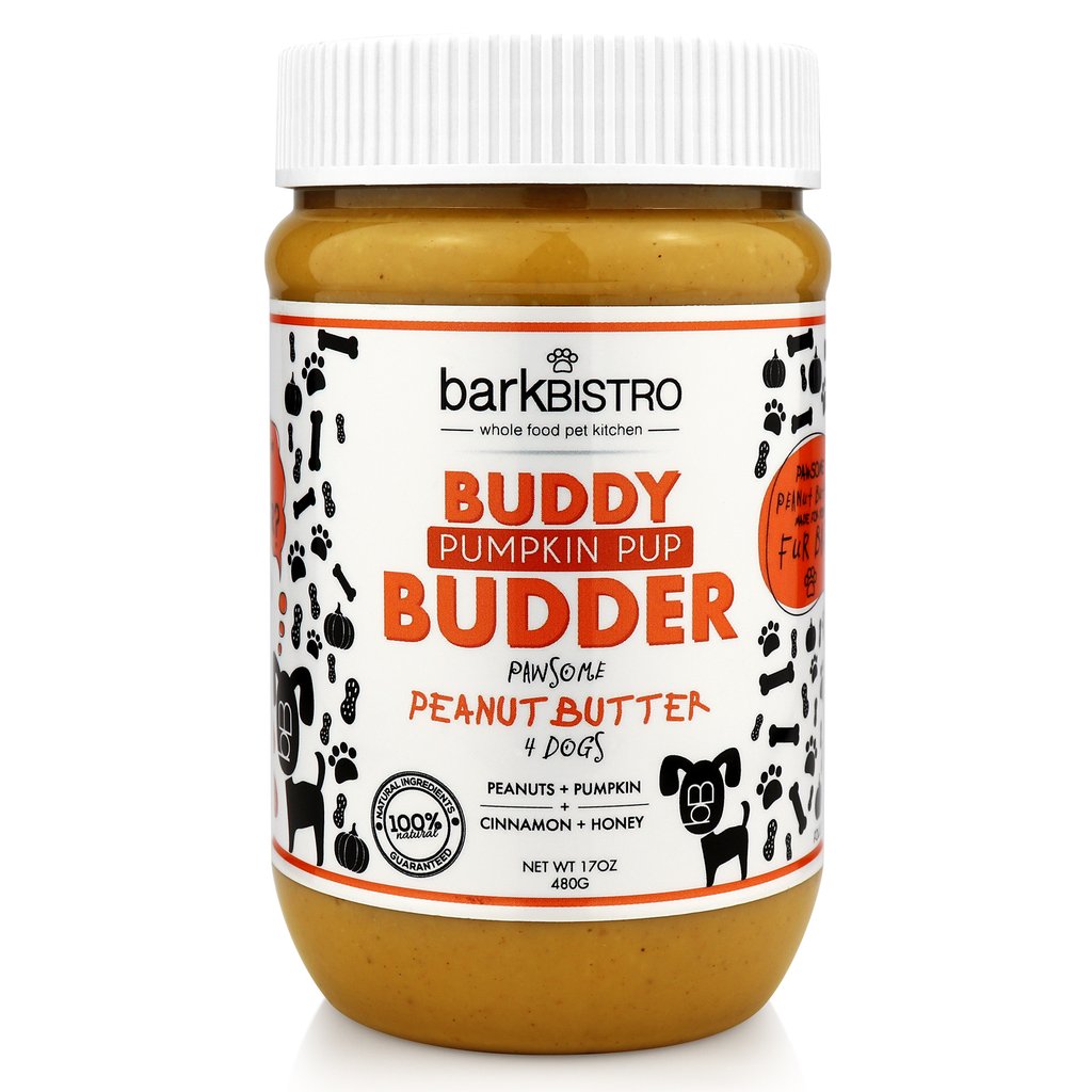 Buddy Budder: Pumpkin Pup