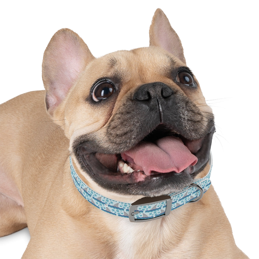 Fun Fins Personalized Dog Collar