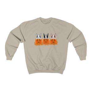 Boston Pumpkins Crewneck Sweatshirt