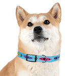 Kayak and Paws Dog Collar