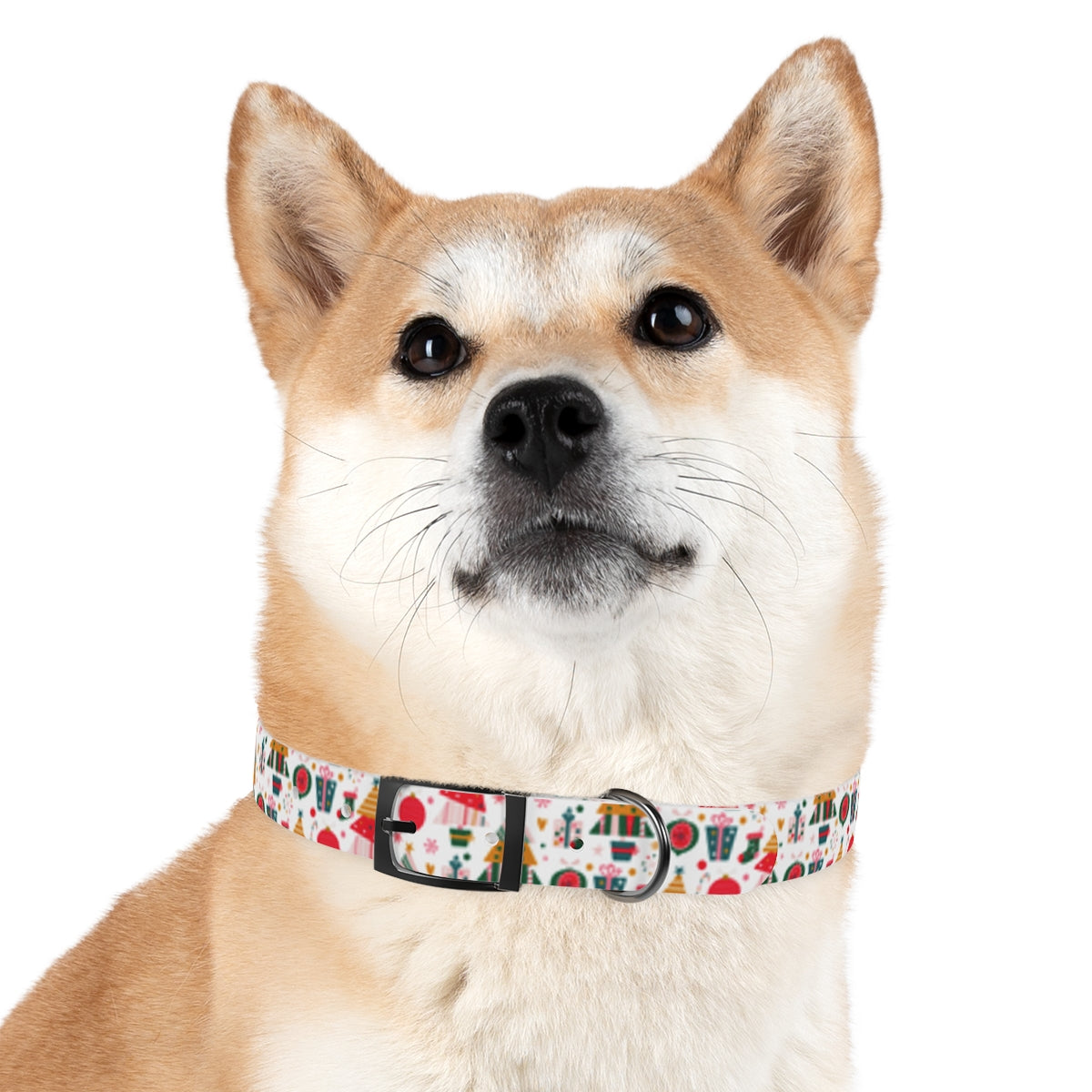 Merry and Bright Personalized Dog Collar