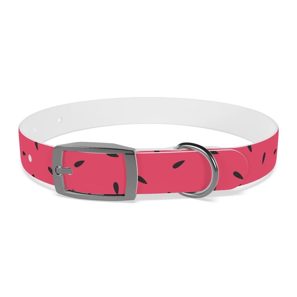 Watermelon Personalized Dog Collar