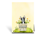 Spring Daisy Boston Art Panel