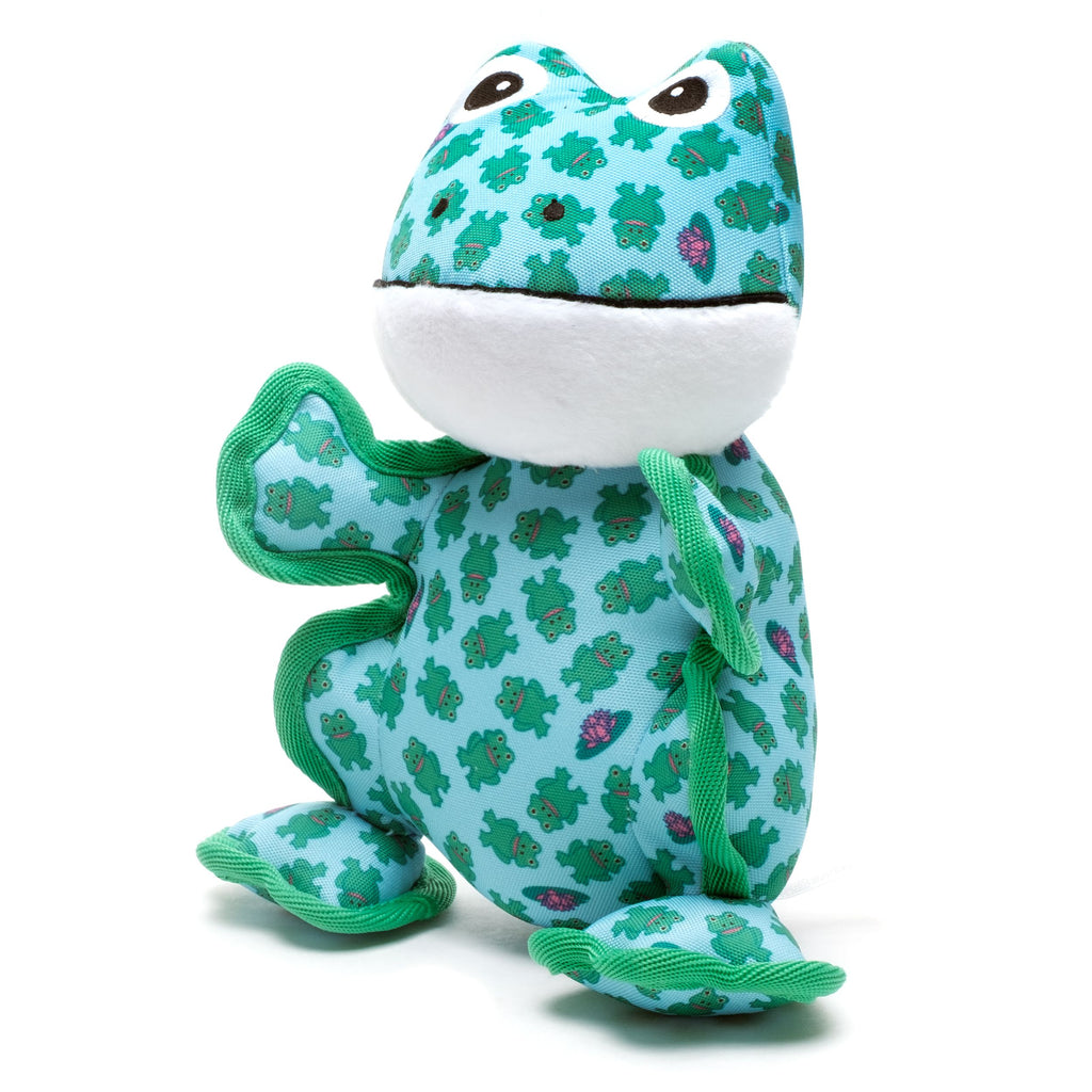 Fred the Frog