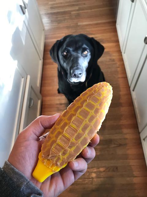 Corn on the Cob Enrichment Toy