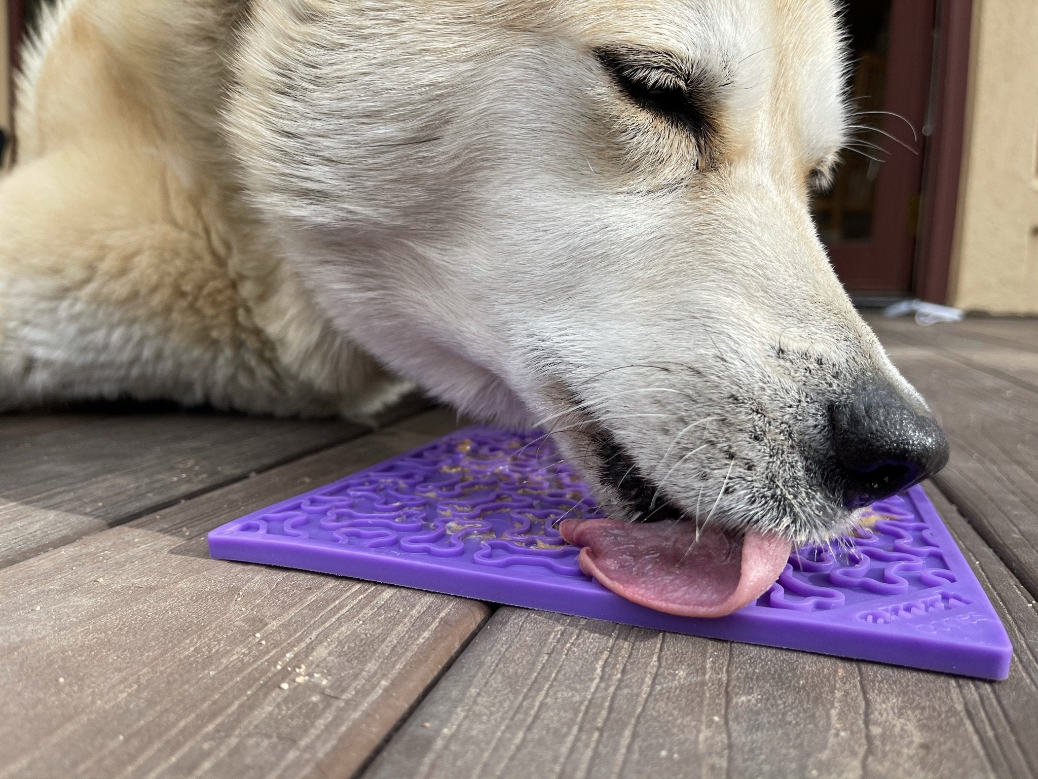 Purple Bone Lick Mat