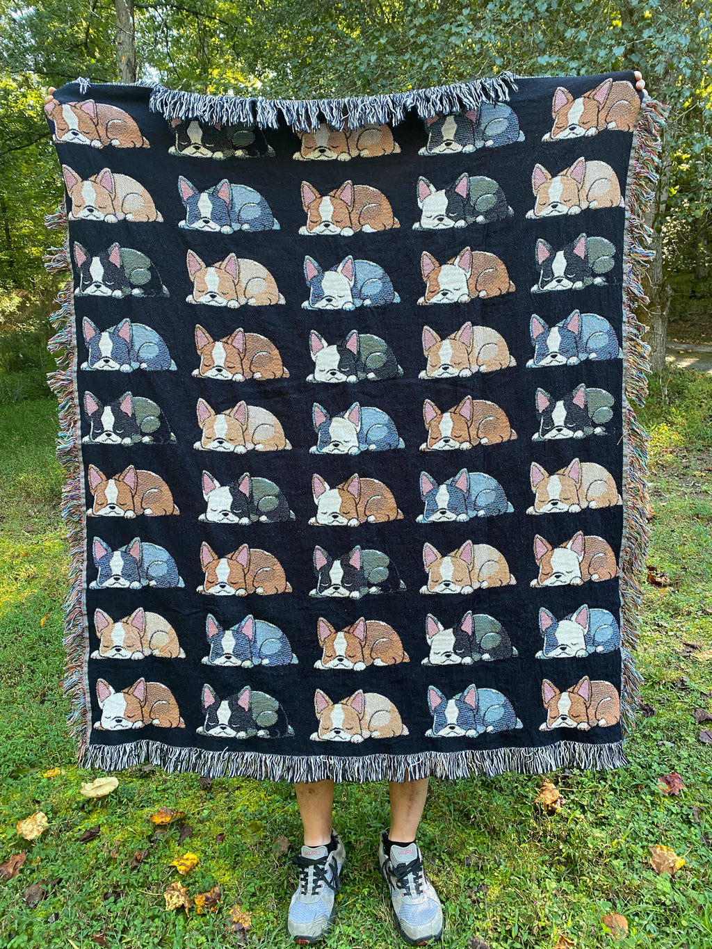 Sleeping Bostons Woven Blanket