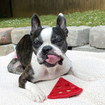 Cherry Pie Enrichment Toy