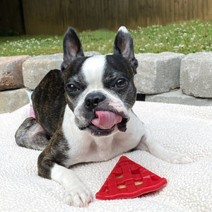 Cherry Pie Enrichment Toy