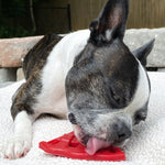 Cherry Pie Enrichment Toy