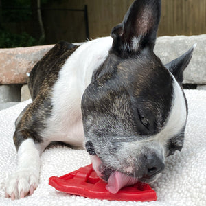 Cherry Pie Enrichment Toy