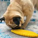 Corn on the Cob Enrichment Toy