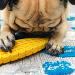 Corn on the Cob Enrichment Toy