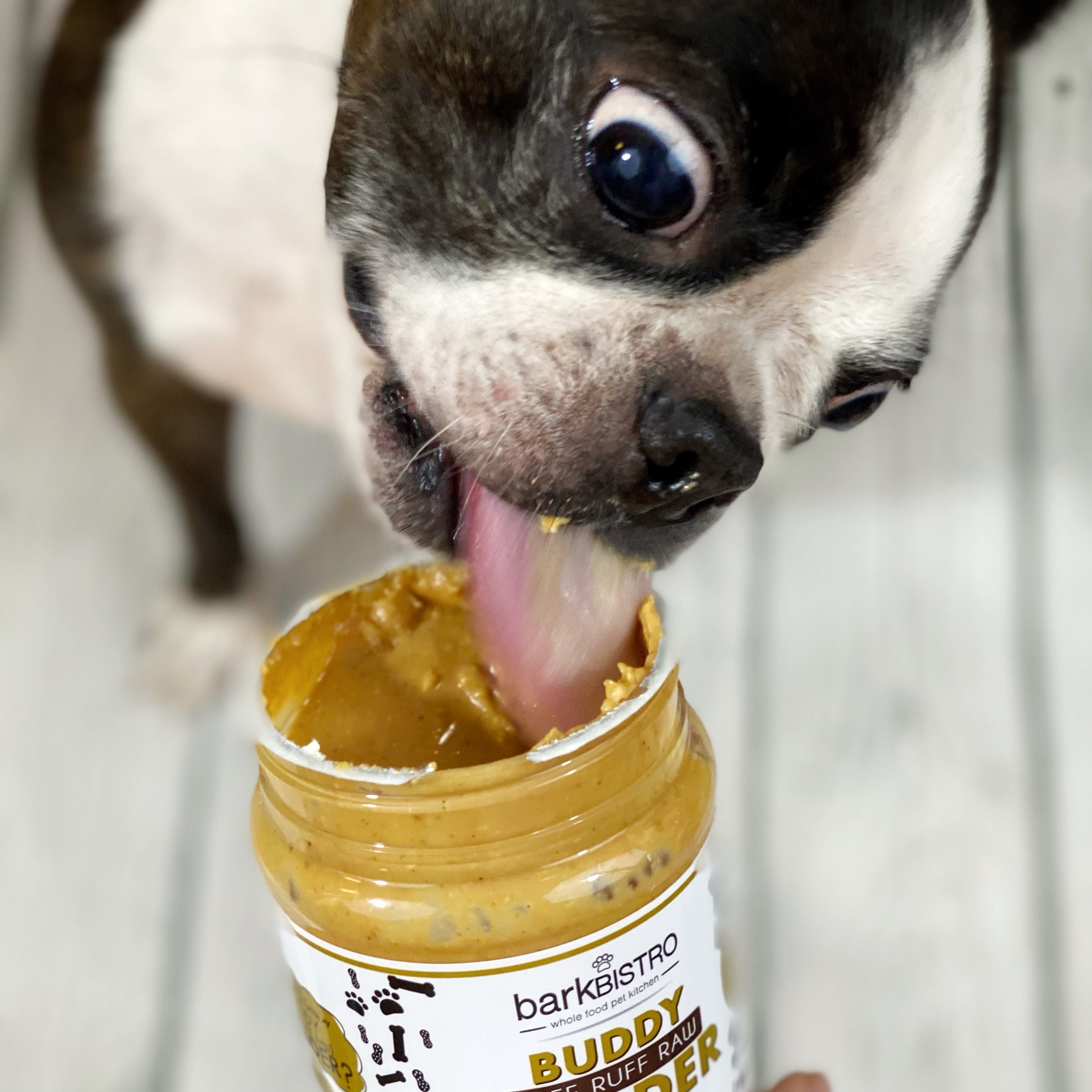 Buddy Budder: Barkin' Banana