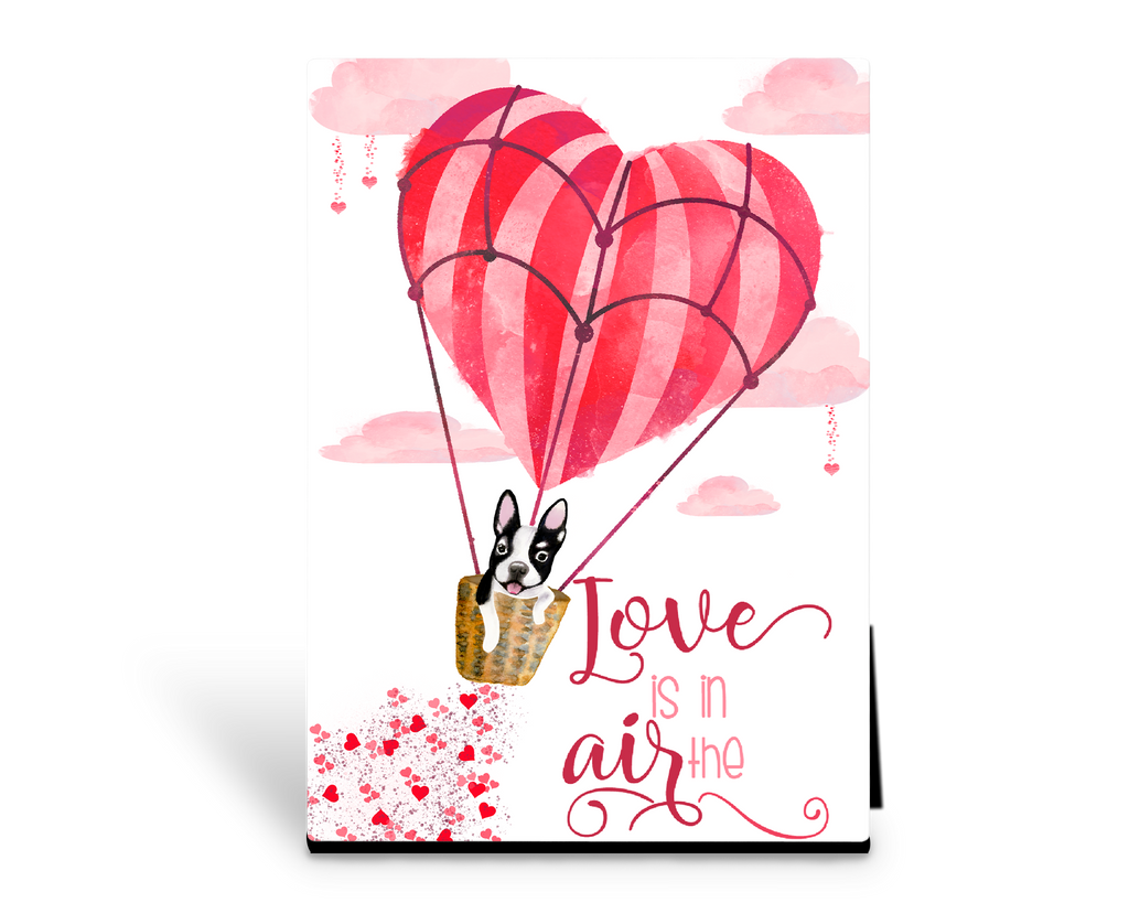 Love Is In The Air Boston Hot-Heart Balloon Art Panel