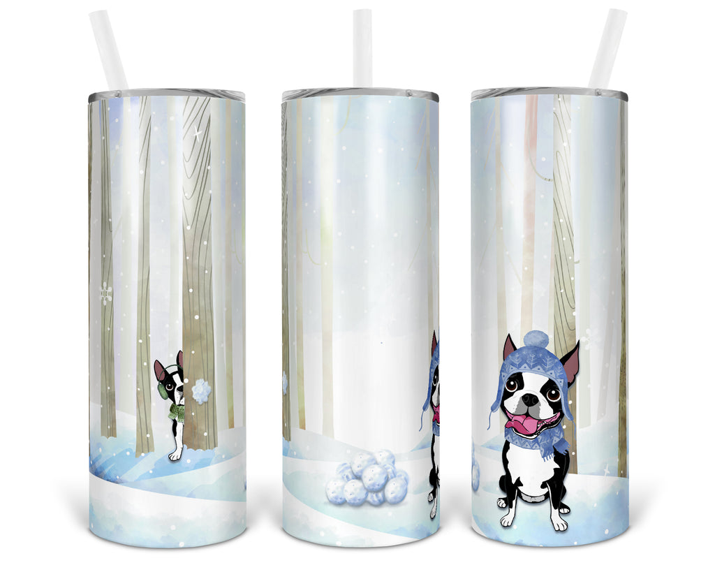 Boston Snowball Fight Tumbler