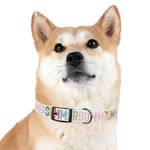Summer Personalized Dog Collar