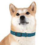 Shadow Sharks Personalized Dog Collar