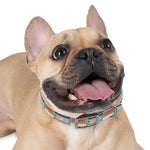 Summer Surfing Personalized Dog Collar