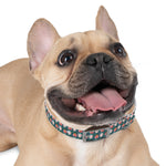 Gifts Galore Personalized Dog Collar