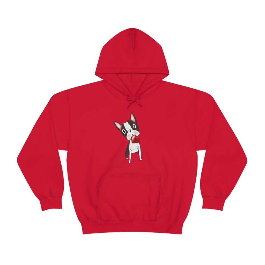 Boston I Love You Hooded Sweatshirt