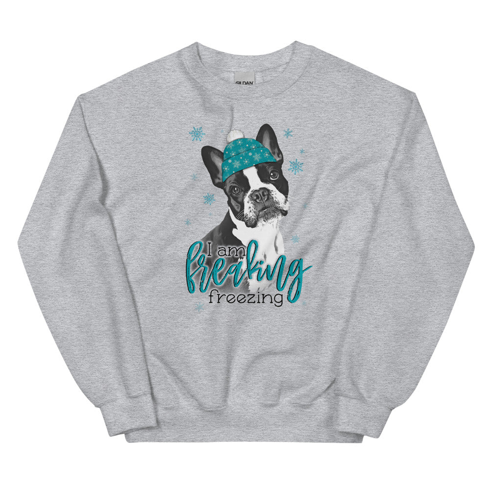 Freaking Freezing Boston Sweatshirt