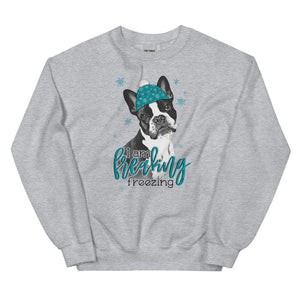 Freaking Freezing Boston Sweatshirt