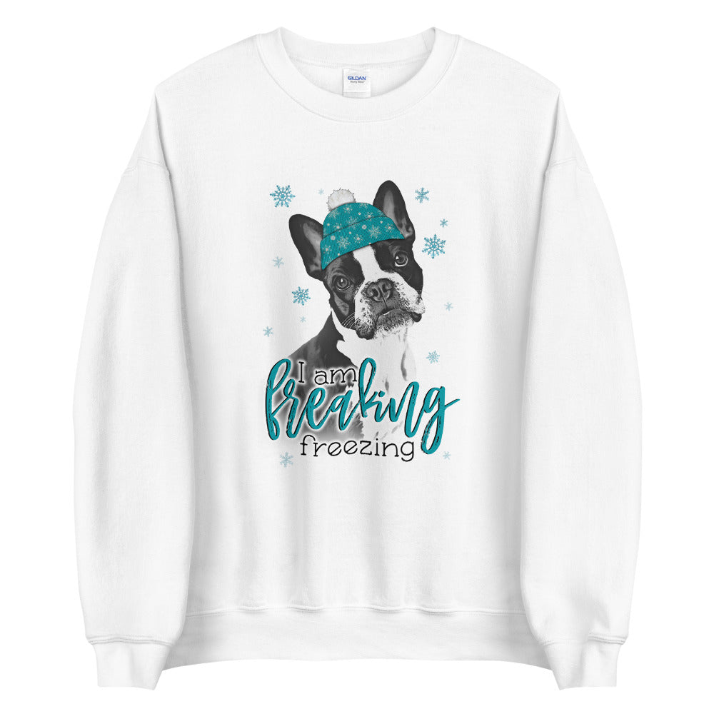 Freaking Freezing Boston Sweatshirt