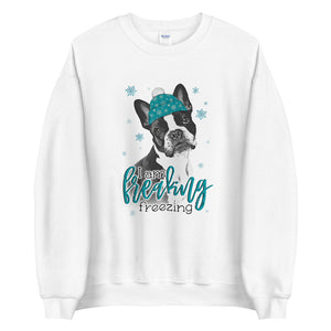 Freaking Freezing Boston Sweatshirt