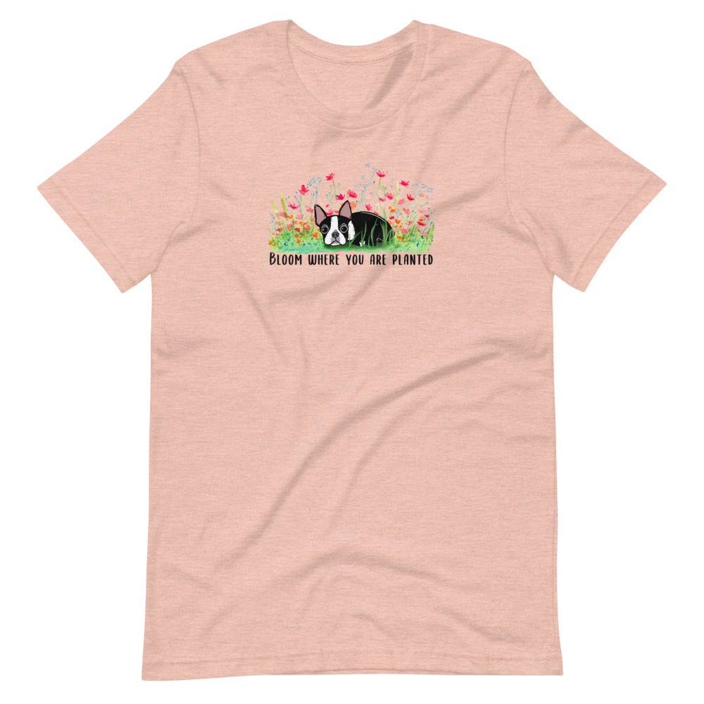 Bloom Where You Are Planted Boston Tee