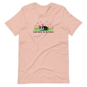 Bloom Where You Are Planted Boston Tee